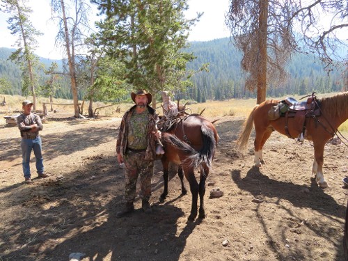 Man Standing by Horses